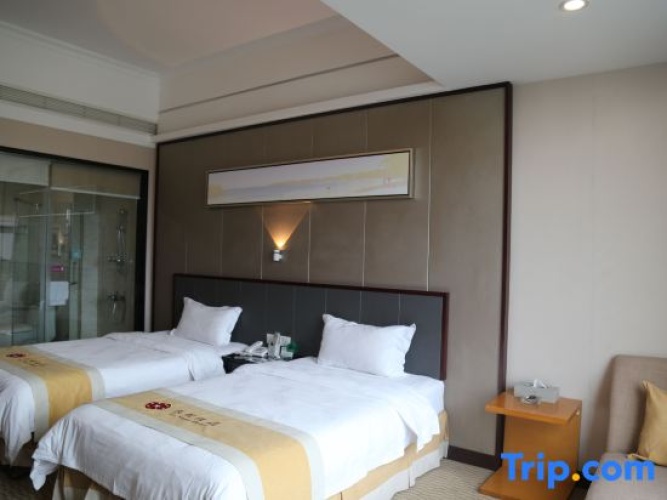 Deluxe Double room with city view