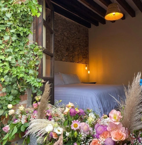 Luxury room
