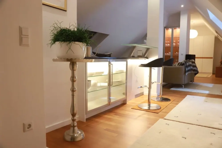 Deluxe Apartment