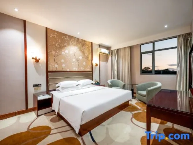 Premier Suite