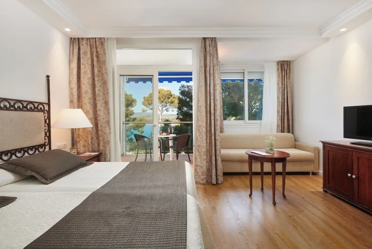 Standard Double room with balcony and with sea view