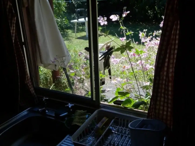 2 Bedrooms Bungalow with courtyard view