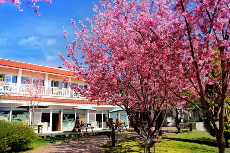 Cingjing Guest House