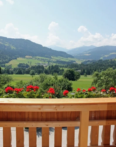 Standard Double room with balcony and with mountain view