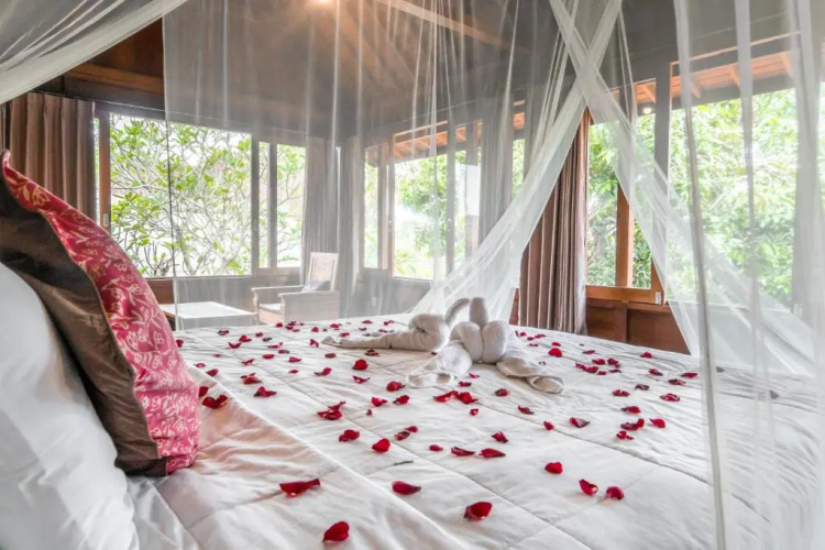Sari Bamboo Villas