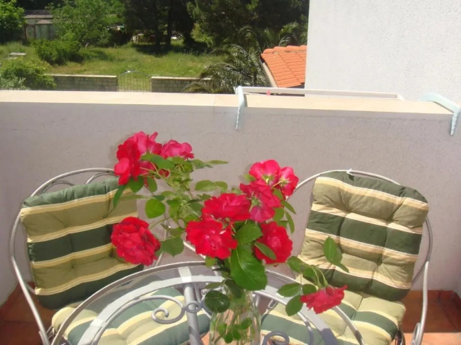1 Bedroom Apartment with balcony and with mountain view