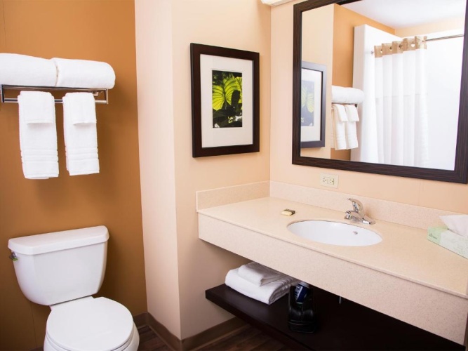 1 Bedroom Suite