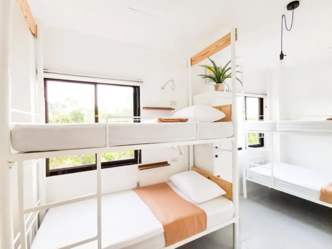 Bed in Dorm