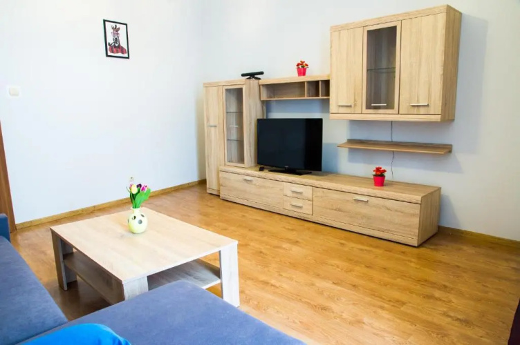 Apartament Brązowy Narutowicza 11