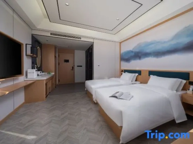 Standard Twin room with city view