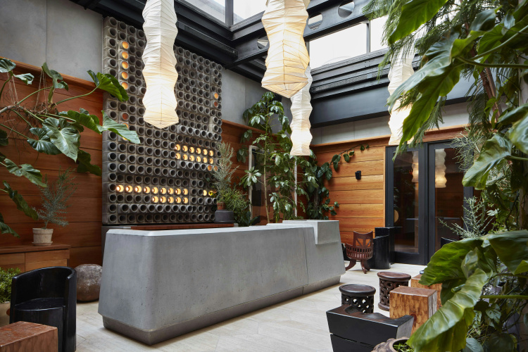 Ace Hotel Brooklyn photo 13