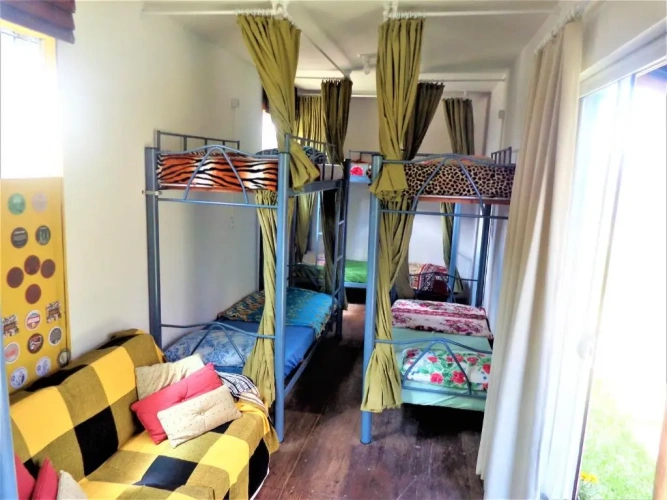 Bed in Dorm