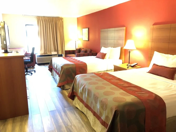 Comfort Quadruple Suite