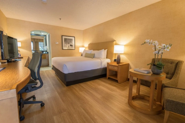 Standard Double room with view