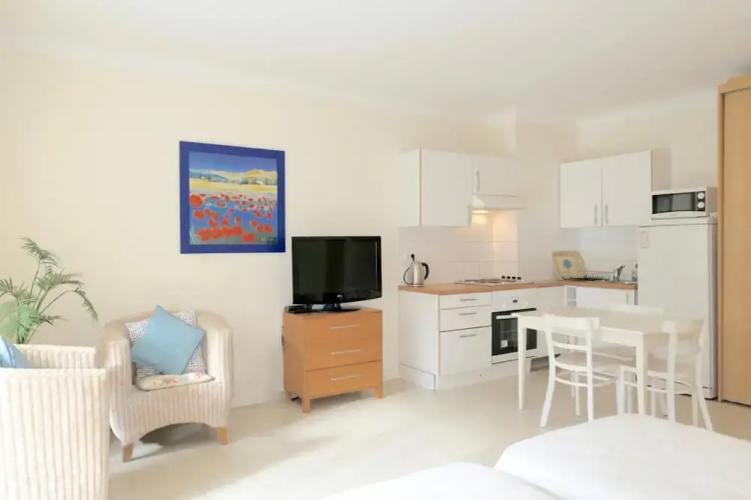 Large Studio apt for 2 With Balcony Walking Distance Croisette - 1977