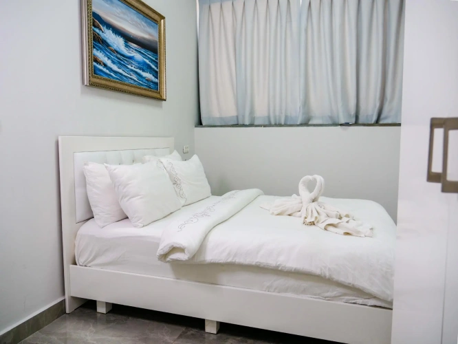 Deluxe Double Suite with city view