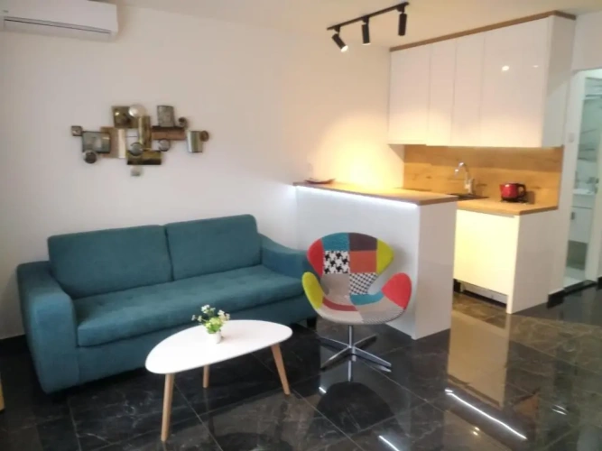 1 Bedroom Apartment
