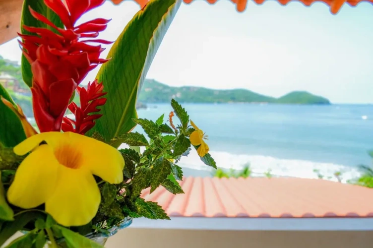 1 Bedroom Premium Suite with ocean view