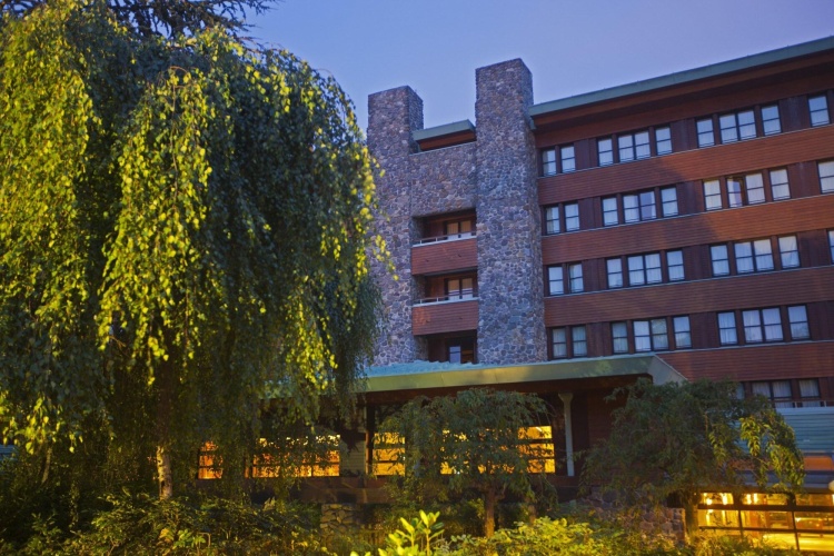 Disney's Sequoia Lodge photo 22