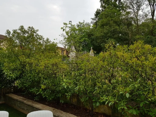 1 Bedroom Cottage