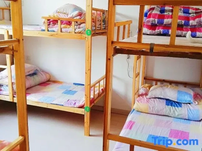 Bed in Dorm (male dorm)