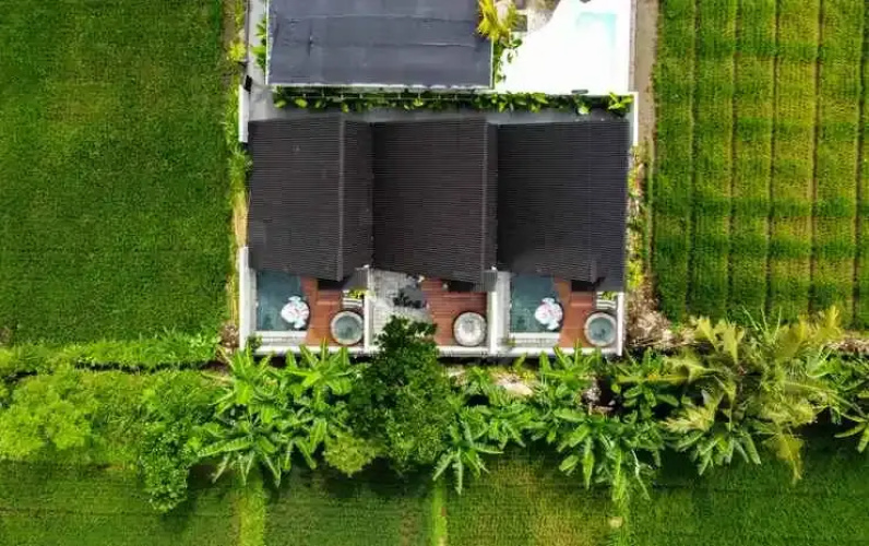 Ubu Villa Coconut