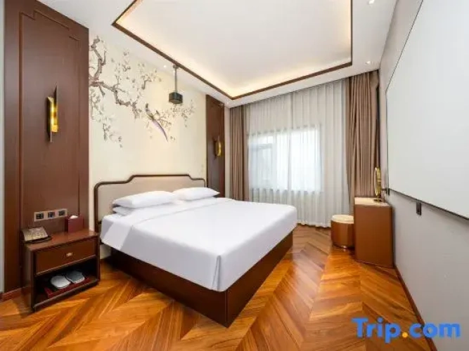 1 Bedroom Suite