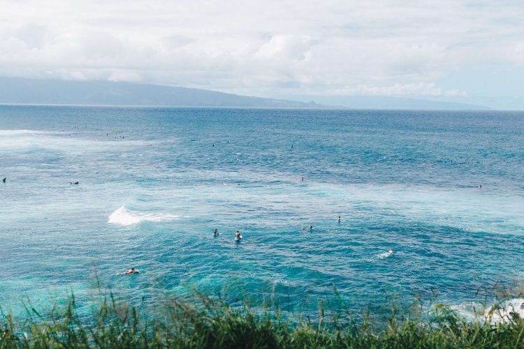 Grand Wailea, A Waldorf Astoria Resort photo 34
