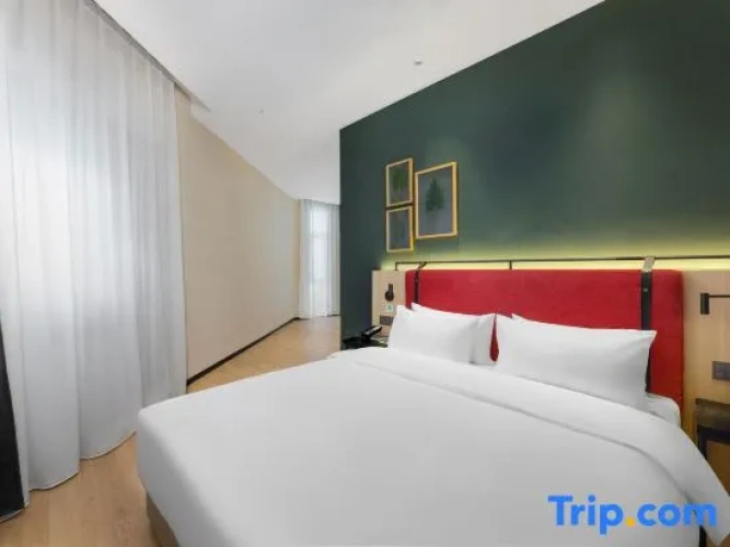 Standard Single Suite