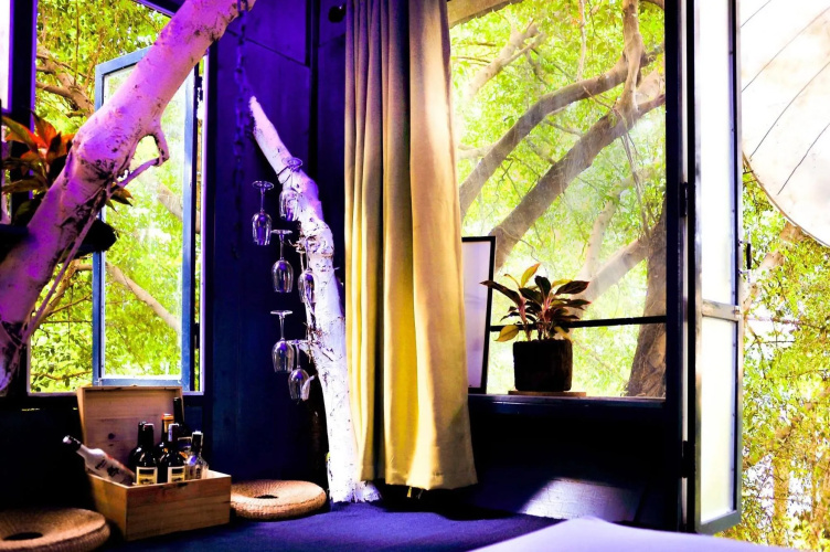 Dao Anh Khanh Treehouse