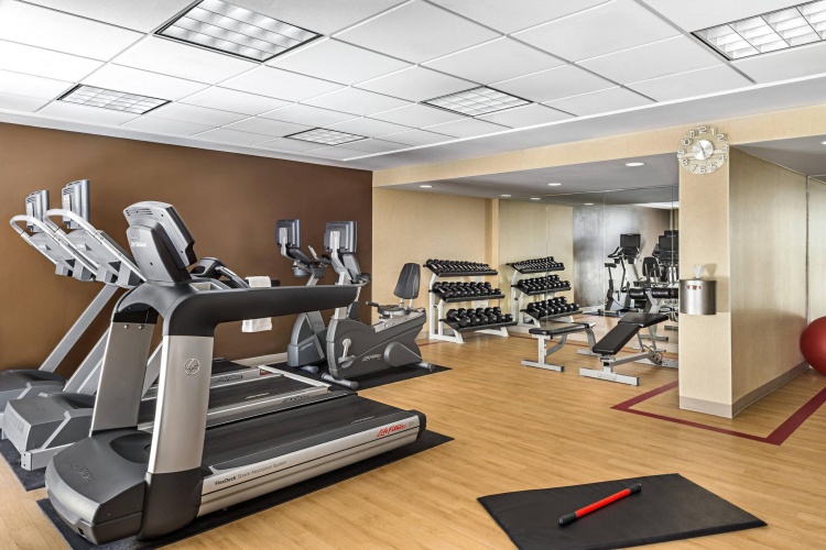 Sheraton Toronto Airport Hotel & Conference Center photo 25