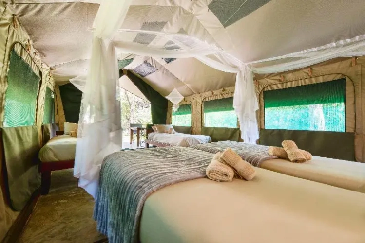 1 Bedroom Tent