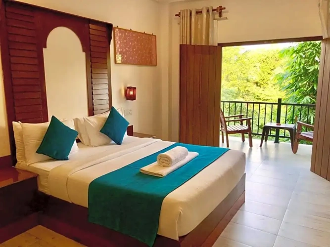 Deluxe Double room with balcony and with pool view