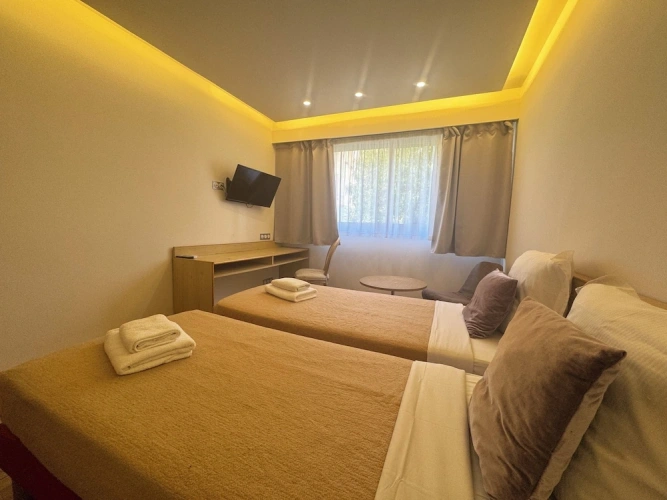 Classic Twin room