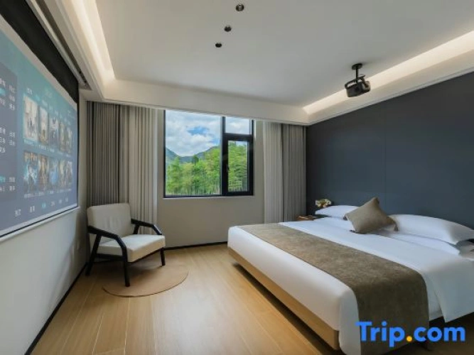 Standard Double room with mountain view