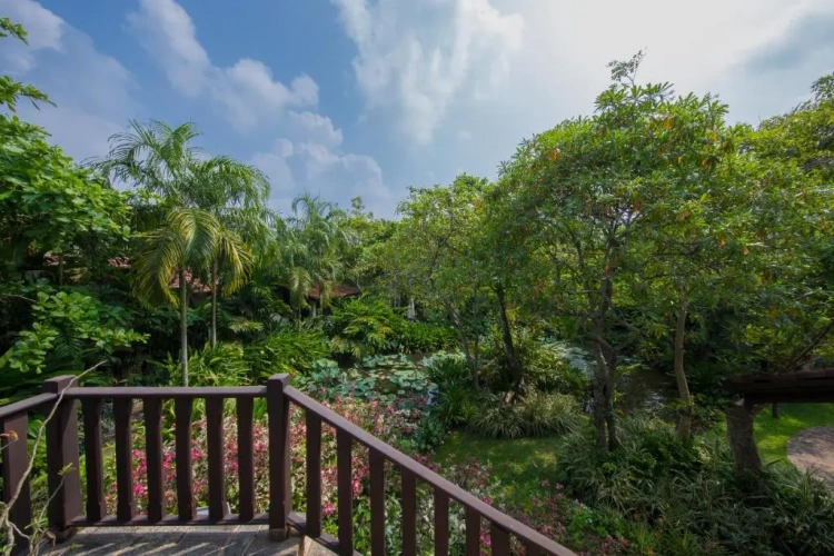 Standard Twin room with balcony and with view
