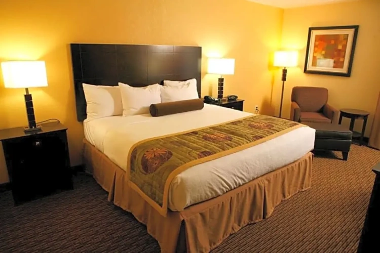 1 Bedroom Double Suite