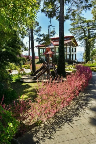Deluxe Double Studio