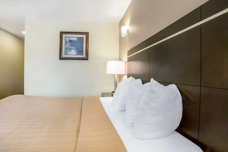 Econo Lodge Inn And Suites