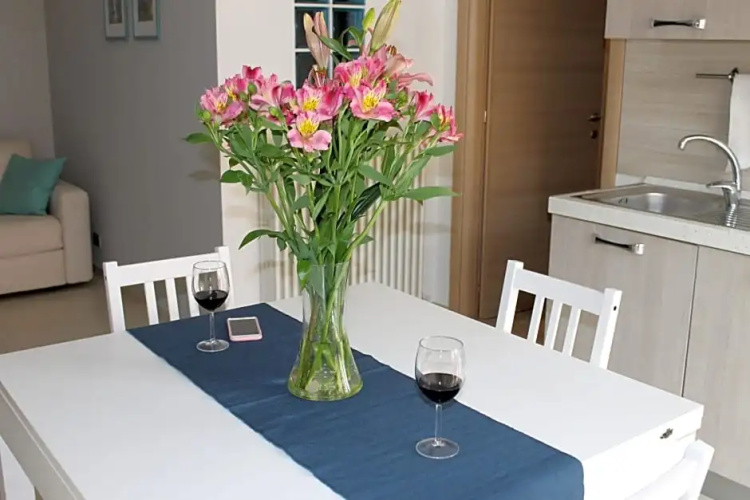 Casa Rinu