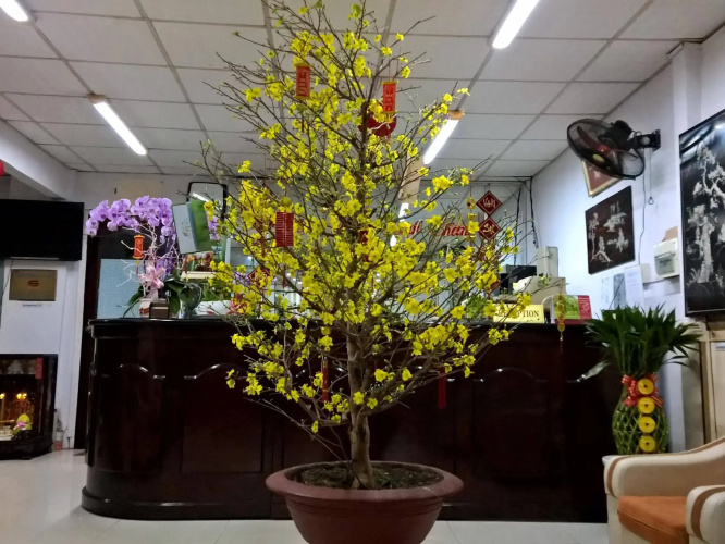 Quang Sang Hotel