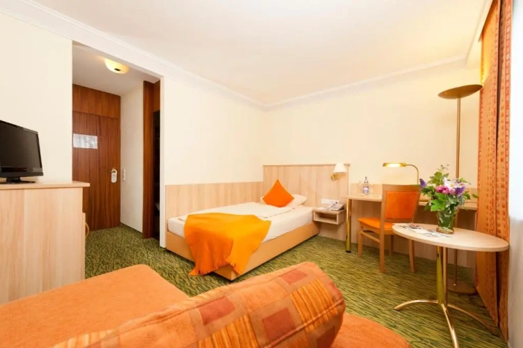 Superior Single room with balcony and with view