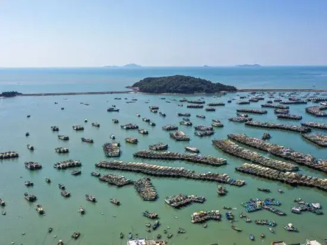 Fishing Port Homestay