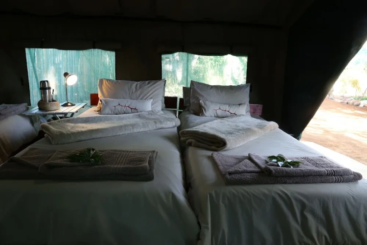 Tent