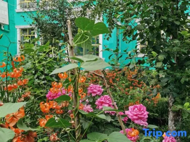 Yijing Farmhouse