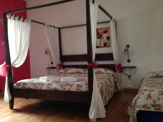 Standard Single room