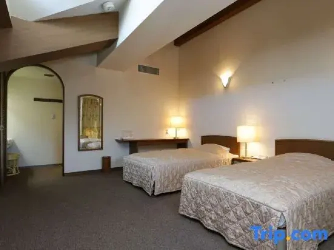 Standard Twin room with mountain view