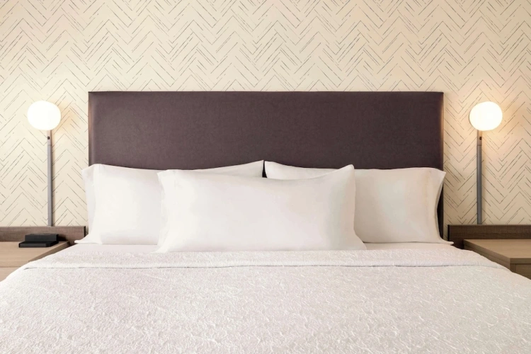 1 Bedroom Suite