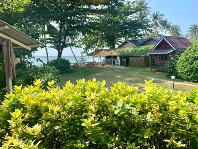 Standard Double room with balcony and with garden view