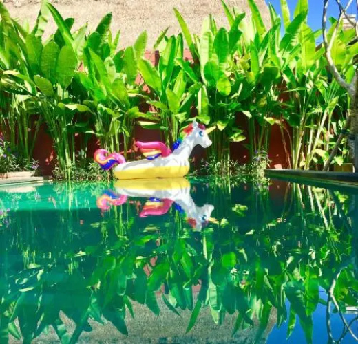 Wiki Bali